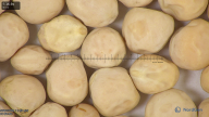 column seed