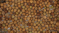 column Seed