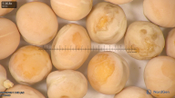 column seed