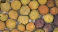 column seed