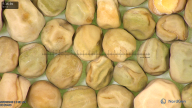 column seed