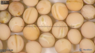 column seed