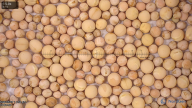 column seed