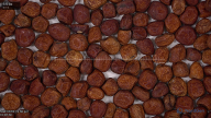 column seed