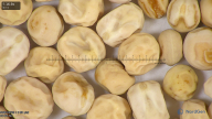 column seed