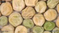 column seed
