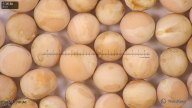 column seed