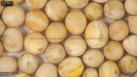 column seed