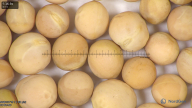 column seed