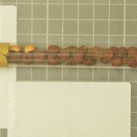 column  