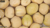 column seed