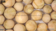 column seed