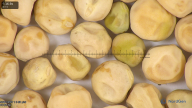 column seed