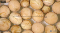 column seed