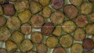 column seed