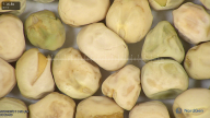 column seed