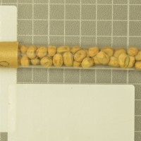 column  
