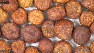 column seed