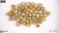 column seed