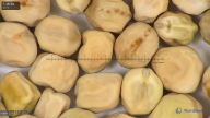 column seed