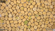 seed