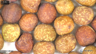 column seed