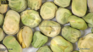 column seed