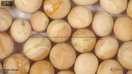 column seed