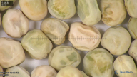 column seed