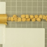 column  