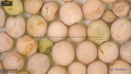 column seed