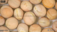 column seed