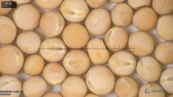 column seed