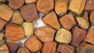 column seed