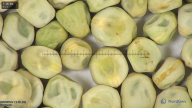 column seed