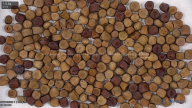 column seed