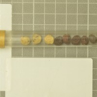 column  