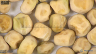 column seed