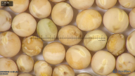 column seed