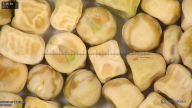 column seed