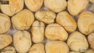 column seed