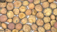 column seed