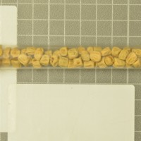 column  