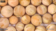 column seed