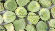 column seed