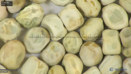 column seed