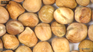 column seed