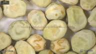 column seed
