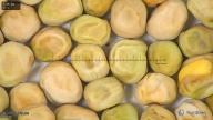 column seed