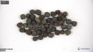 column seed